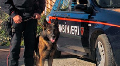 Nicotera, tre arresti per droga e possesso d’arma da fuoco