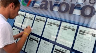 Lavoro, a Vibo il tasso di occupazione più basso d’Italia