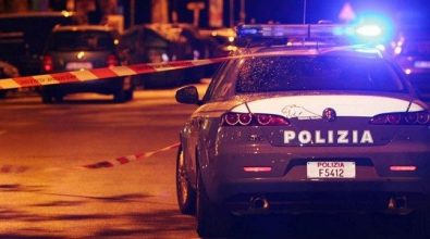 Lite tra circensi degenera in omicidio, arrestato Alex Orfei