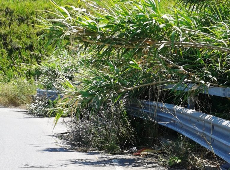 Strade dissestate nel Vibonese, la denuncia: «Che fine hanno fatto i lavori sulla ex 522?»