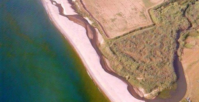 Mare verde a Pizzo, Callipo: «Solo fioritura algale. Acque eccellenti»