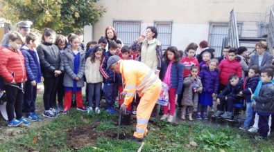 A Sant’Onofrio celebrata la “Giornata dell’albero”