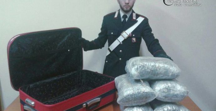 Corriere vibonese della droga fermato sull’A3, aveva 11 chili di marijuana in valigia