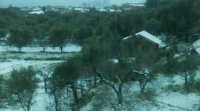 Neve sull’altopiano del Poro, disagi alla circolazione