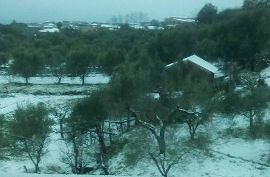 Neve sull’altopiano del Poro, disagi alla circolazione