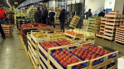 Mercati generali, chiusura prorogata di 10 giorni: sospiro di sollievo per gli operatori