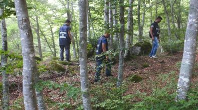 I “cacciatori d’erba” vibonesi sull’Espresso: «Così combattiamo i narcos della Colombia d’Italia»