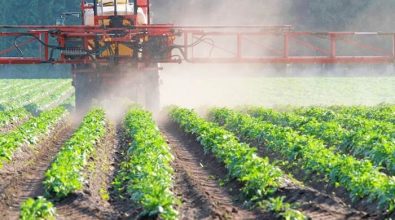 Agricoltura, a Cessaniti un corso per abilitarsi all’uso dei prodotti fitosanitari