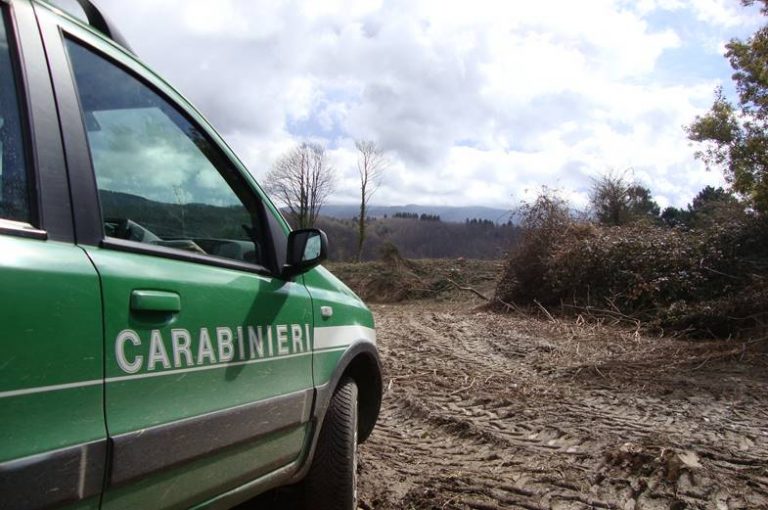 Briatico: i carabinieri forestali sequestrano un cantiere all’imprenditore Cascasi. La sua versione