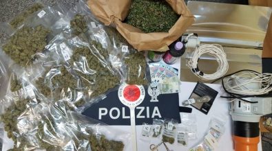 Laboratorio per la produzione di marijuana nel Vibonese: 29enne lascia il carcere