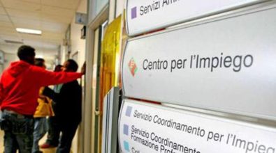 Vibo, il Comune cerca un immobile per il Centro dell’impiego ed emana un avviso