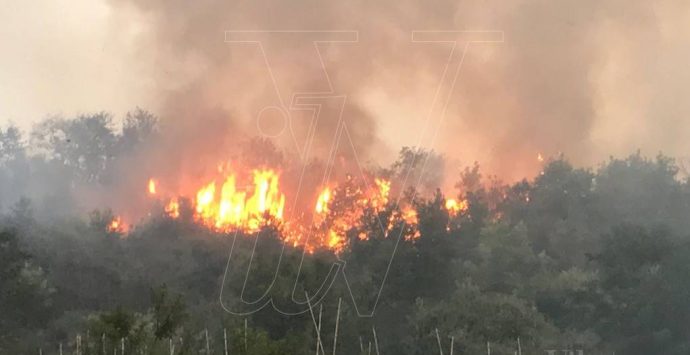 Inferno di fuoco nel Vibonese, oltre 60 interventi in due giorni