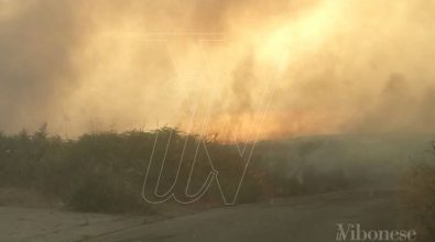 Incendi: vasto rogo a Vibo, critica la situazione a Monte Poro