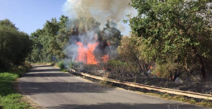 Prevenzione degli incendi, a Sant’Onofrio obbligo tassativo di ripulire i terreni privati