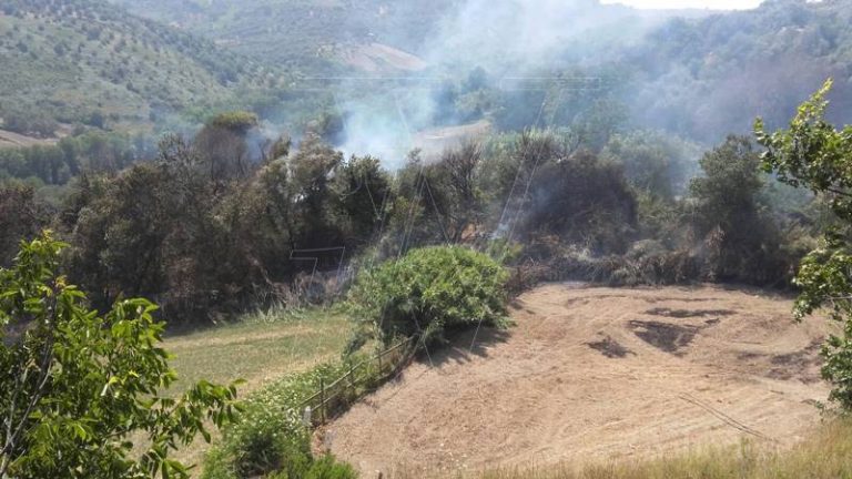 Il Vibonese ancora nella morsa del fuoco, panico a Piscopio e a Limpidi (VIDEO)