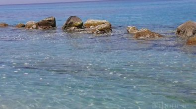 Mare sporco a Capo Vaticano e Tropea: le prime segnalazioni (FOTO)