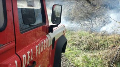 Uliveto in fiamme nel Vibonese, donna muore intossicata dal fumo