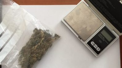 Marijuana nella camera da letto: due denunce nel Vibonese