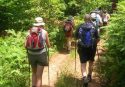 Rombiolo, tutto pronto per l’iniziativa “Trekking sul Poro. Passeggiata tra i campi di grano”