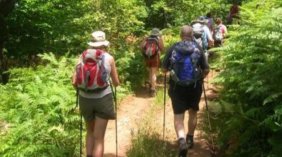 Rombiolo, tutto pronto per l’iniziativa “Trekking sul Poro. Passeggiata tra i campi di grano”