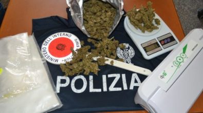 Marijuana nel garage, resta ai domiciliari 30enne di Vibo