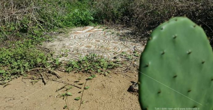 Un mosaico del V secolo nell’orto: l’incredibile vicenda del tesoro dimenticato di Piscopio