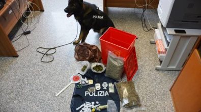 Cocaina, hashish e marijuana, un arresto della polizia a Vibo