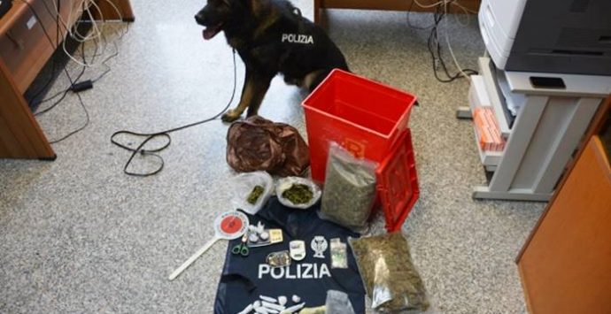 Cocaina, hashish e marijuana, un arresto della polizia a Vibo