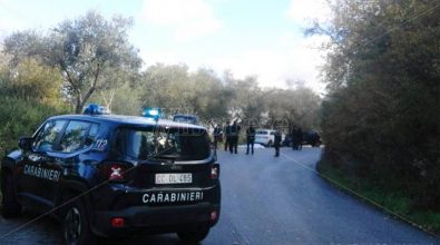 Incidente stradale a Soriano, c’è un indagato (VIDEO)