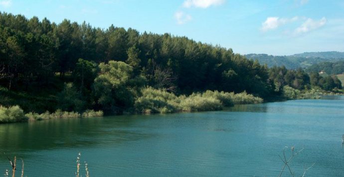 La denuncia del Wwf: «Sostanze ignote nel torrente Reschia, immissario del lago Angitola»