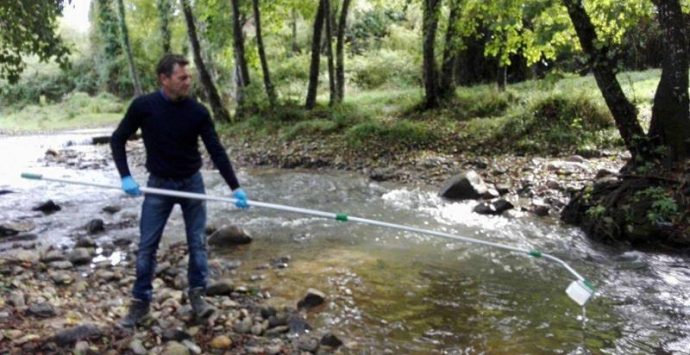 Sospetto inquinamento del torrente Reschia nel Vibonese, l’Arpacal avvia le verifiche