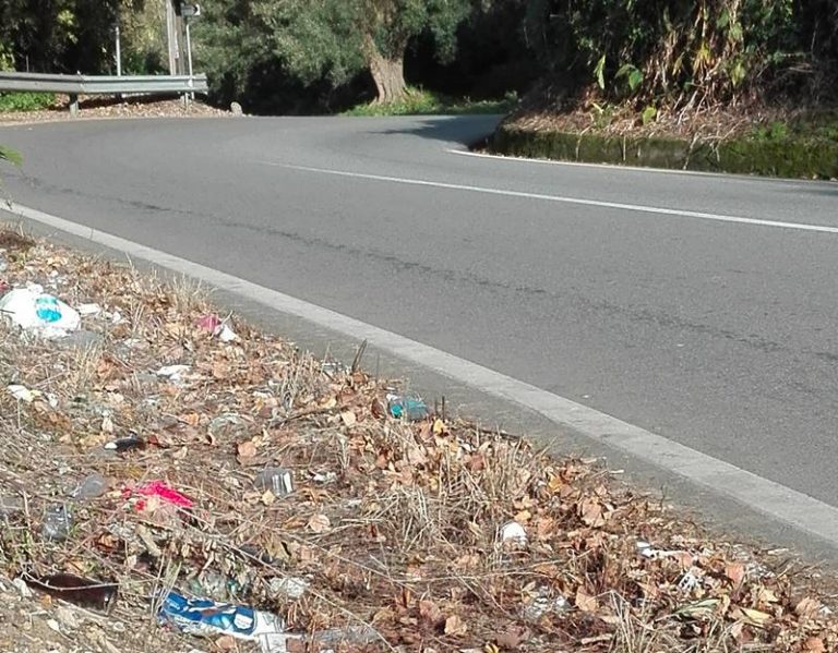 Rifiuti sulle strade del Vibonese, Paolillo (Wwf): «Non tagliate le erbacce, coprono il degrado»