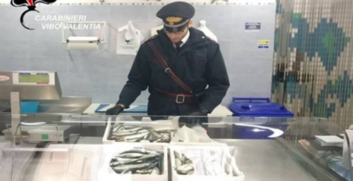 Ricadi, sequestrati 11 chili di pesce di dubbia provenienza