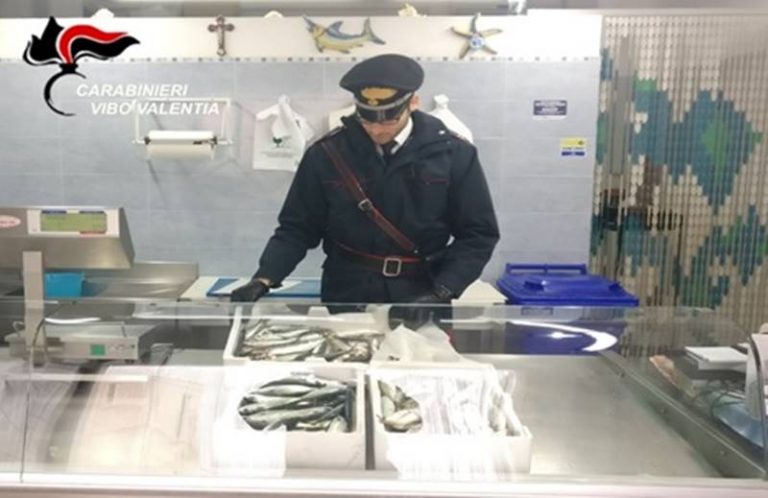 Ricadi, sequestrati 11 chili di pesce di dubbia provenienza