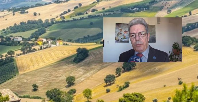 Gal nel Vibonese, il presidente del Cogal aspetta la sentenza nel merito del Consiglio di Stato