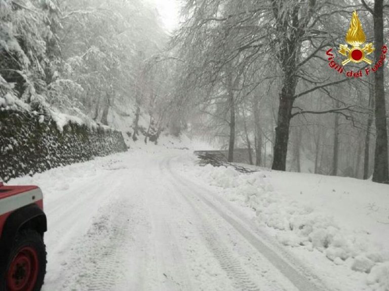 Scuole aperte nonostante la neve, la denuncia delle insegnanti di Nardodipace