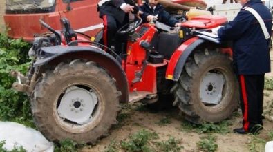 Riciclaggio di un trattore rubato, un’assoluzione a Vibo