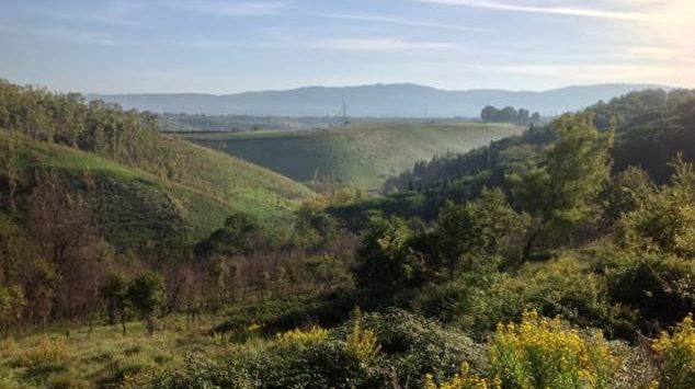 Discarica di Sant’Onofrio: anche il Consiglio di Stato stoppa l’impianto privato da 400mila metri cubi