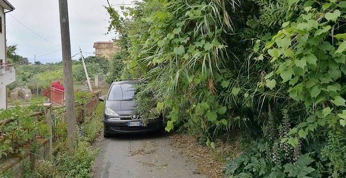 La segnalazione | Benvenuti nella “giungla” di Longobardi