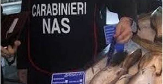 Pesce avariato messo in vendita, due denunce a San Calogero