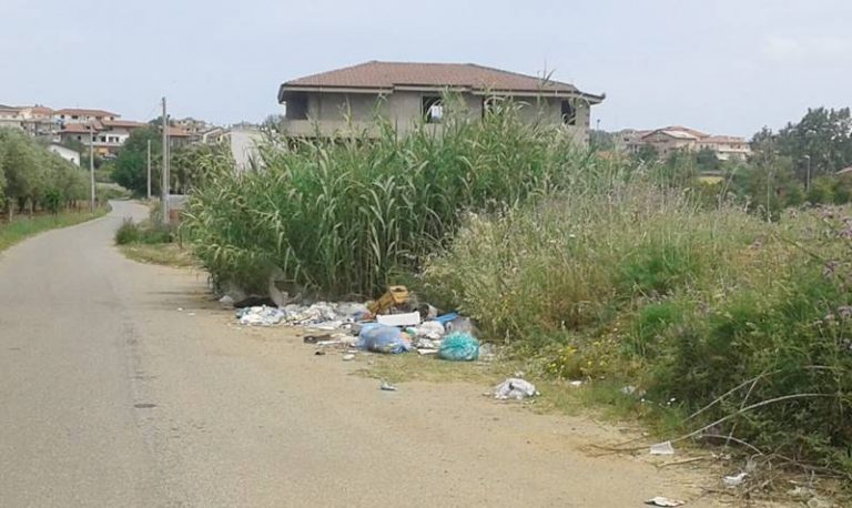 Rifiuti abbandonati a Ionadi, Amministrazione e cittadini insieme per ripulire le strade