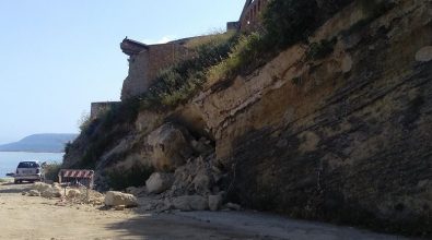 Pizzo, dalla roccia spunta il fossile di una balena vissuta 7 milioni di anni fa