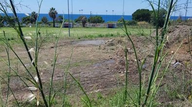 Joppolo, liquami fognari sversati nel terreno accanto al campo sportivo