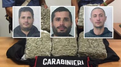 Traffico di marijuana con la Basilicata, indagati i Patania di Stefanaconi