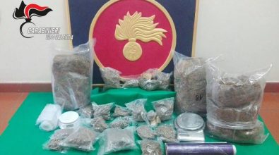 Sei chili di marijuana nel garage, assolto 39enne di Soriano