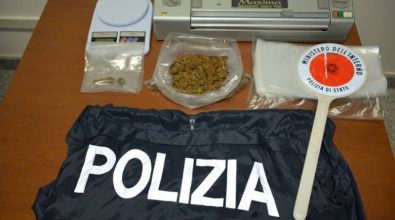 Marijuana dentro casa, arrestato dalla polizia a Ionadi