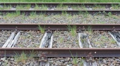 Stazione di Francavilla Angitola, dove i treni non fermano più (VIDEO)