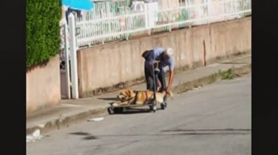 Ogni giorno porta il cane malato a spasso su un carrello, la sua storia commuove il web (VIDEO)