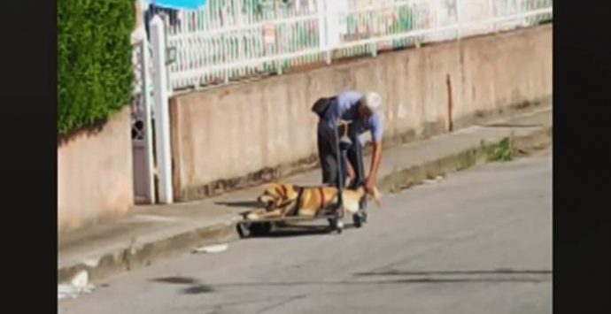 Ogni giorno porta il cane malato a spasso su un carrello, la sua storia commuove il web (VIDEO)