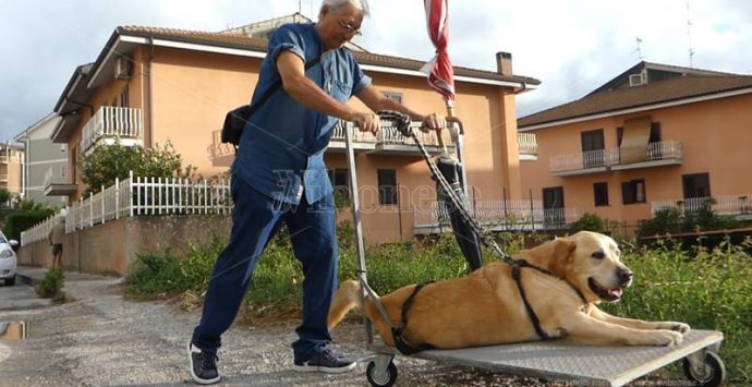 Si è spento a Vibo Tonino Vitale, il padrone del labrador Dylan